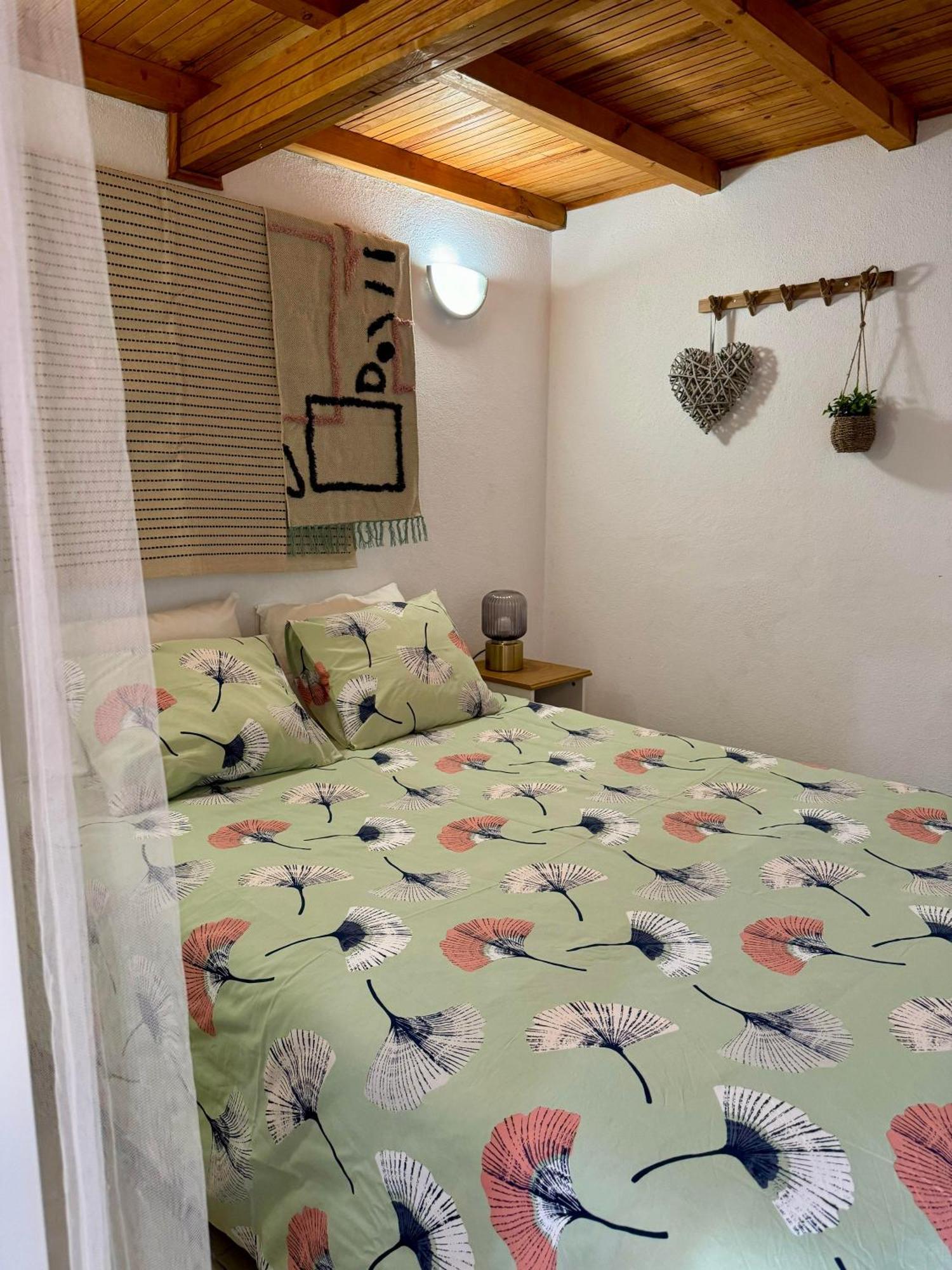 São Miguel de Acha Casa Sao Sebastiao Casas Bem Haja旅馆 外观 照片